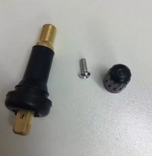 Tige de valve de pneu Tubeless TPMS Tige de valve Argent Aluminium